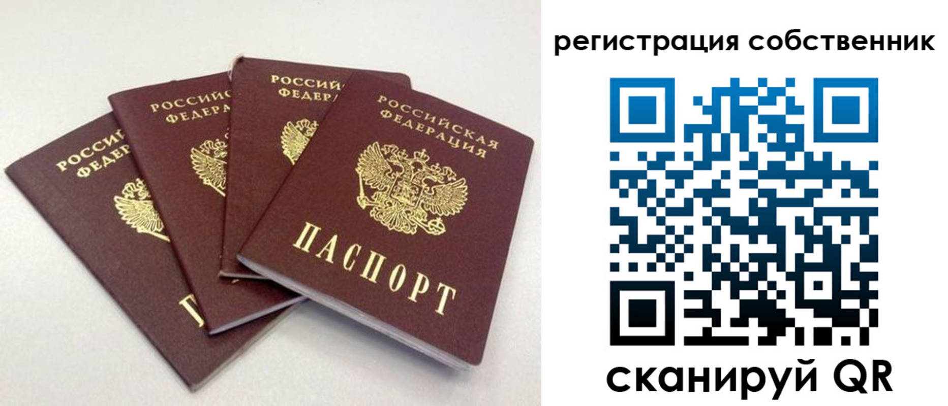 прописка для школы в Дальнереченске